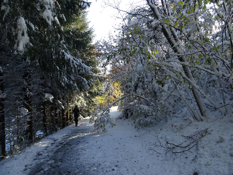 prime escursioni sulla neve....autunno  2019